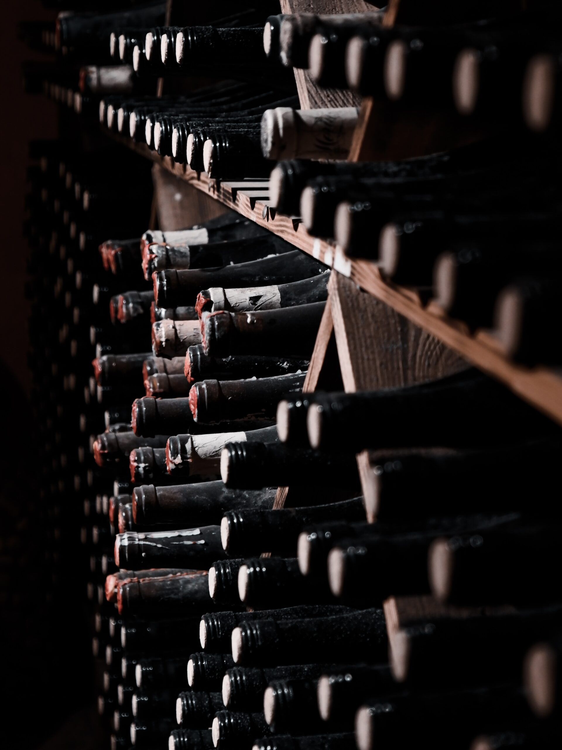 Close up of wine bottles in a cellar