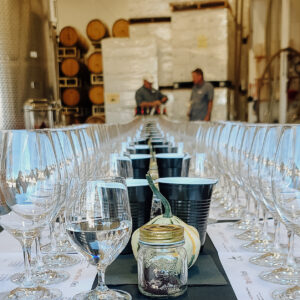 Library Wine Tasting in the River Stone Cellar Hosted by Owner/Winemaker Ted Kane