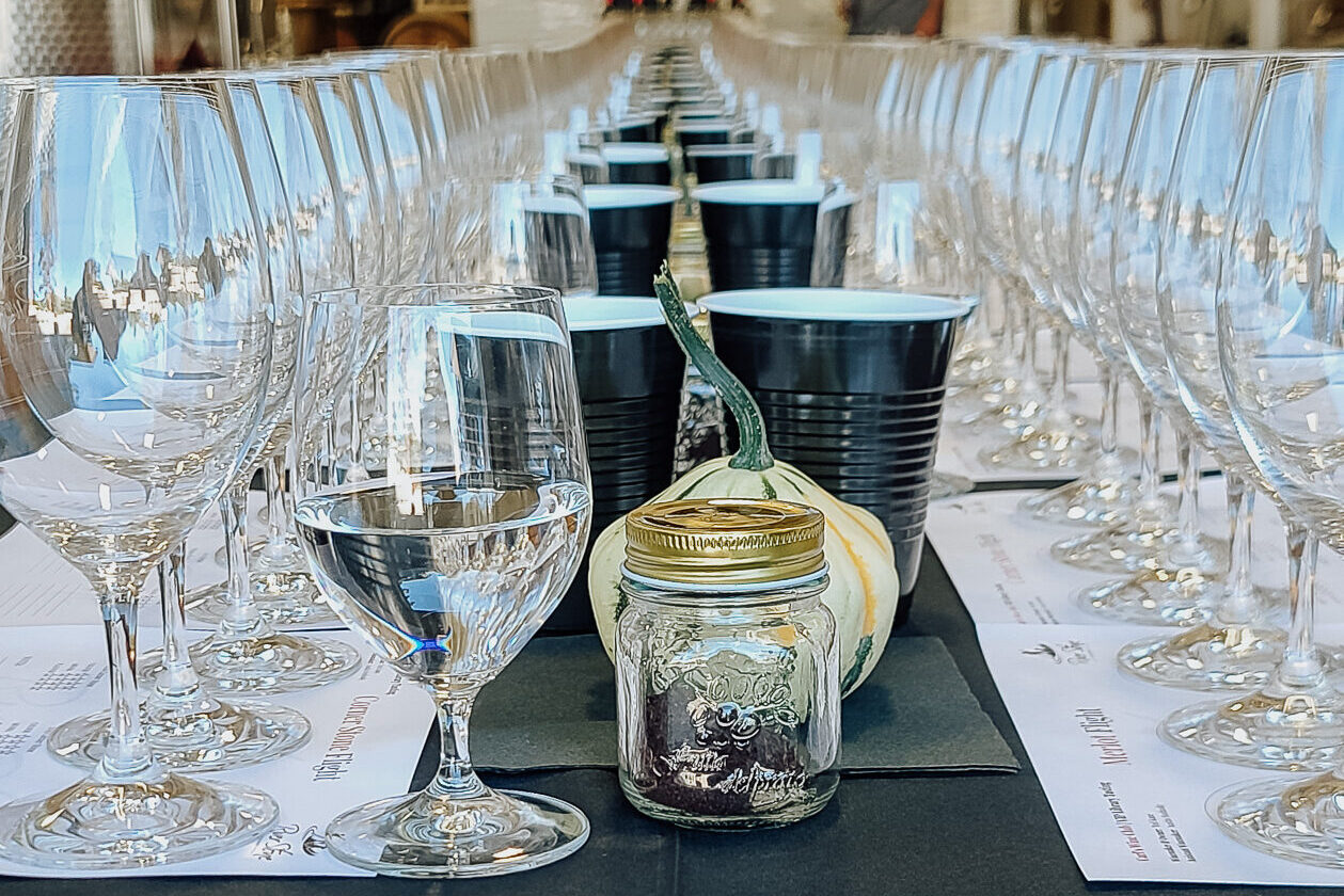 Library Wine Tasting in the River Stone Cellar Hosted by Owner/Winemaker Ted Kane