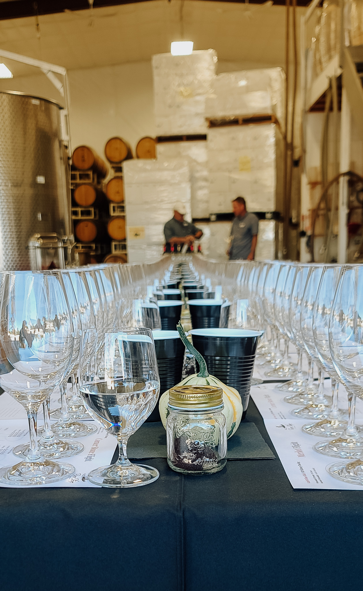 Library Wine Tasting in the River Stone Cellar Hosted by Owner/Winemaker Ted Kane