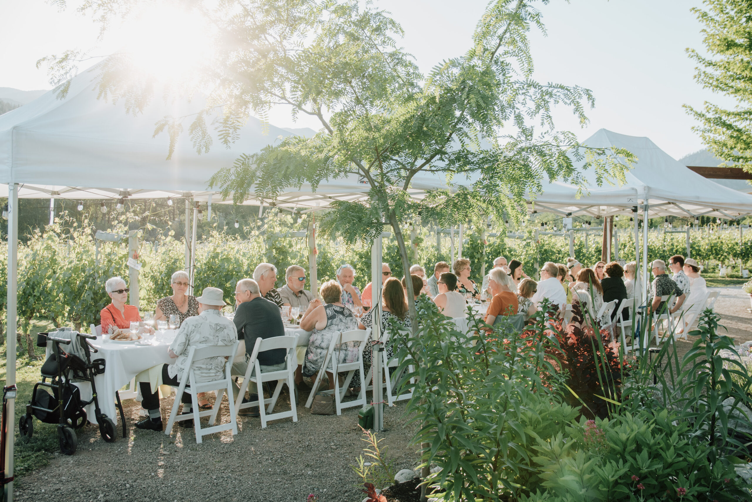 Winemakers Dinner at River Stone