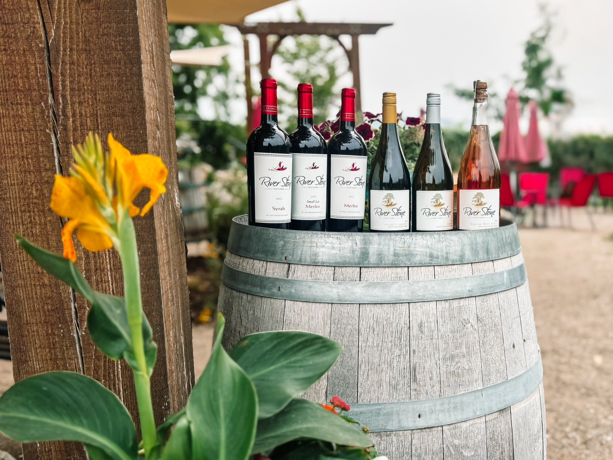 Last call wines from River Stone, including Merlot, Syrah, Albarino and unoaked Chardonnay.